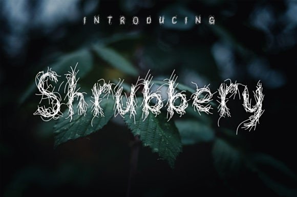 Discovering the Creative Power of Shrubbery